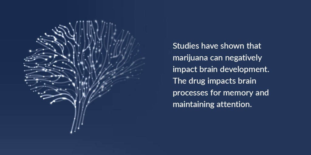 Impacts on brain development